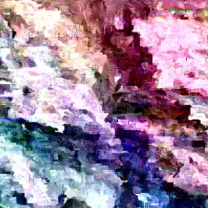 Dogwood Tree Live Plant - 1 ft Tall - Outdoor Flowering Ornamental Tree - Image 1