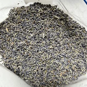 Dried Lavender Buds for Skincare, Home Fragrance & DIY Projects - Image 4