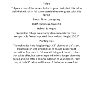 Easter Joy Mix Tulip Bulbs - Triumph Pastel Tulips - 18-20