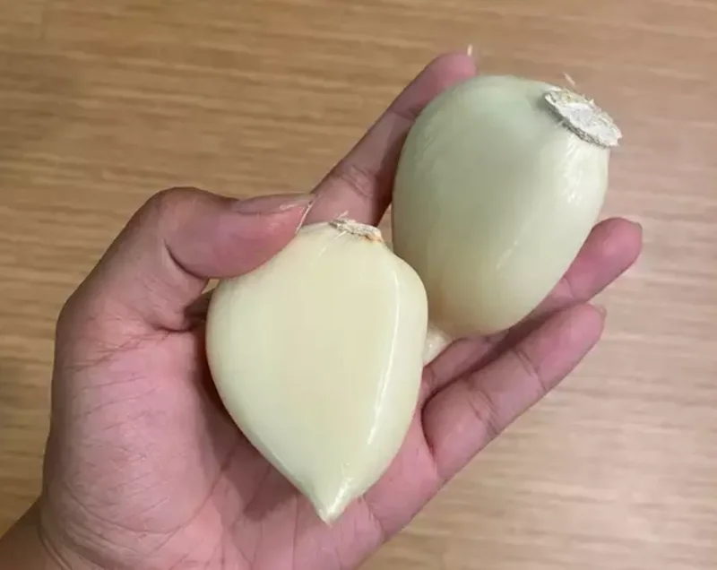 Elephant Garlic Bulbs, Cloves & Seeds - Fresh Harvest for Planting & Cooking - Image 2