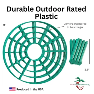 Everbearing Strawberry Plants Bare Root + Green Supports Bundle - Outdoor Berry Plant - Image 4