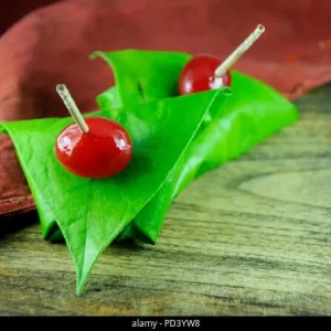 Fresh Betel Leaf Harvest for Paan & Ceremonies - 27 Leaves Minimum - Image 9