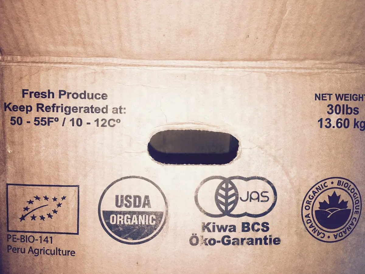 Fresh Peruvian Wild Ginger Root - Non-GMO, 4lb - Image 2