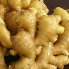 Fresh Peruvian Wild Ginger Root - Non-GMO, 4lb - Image 3