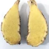 Fresh White Turmeric Rhizomes - Curcuma Amada - Edible & Plantable - Image 1