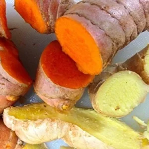 Fresh Wild Ginger & Turmeric Rhizomes - 20 LB Bulk Pack - Image 2