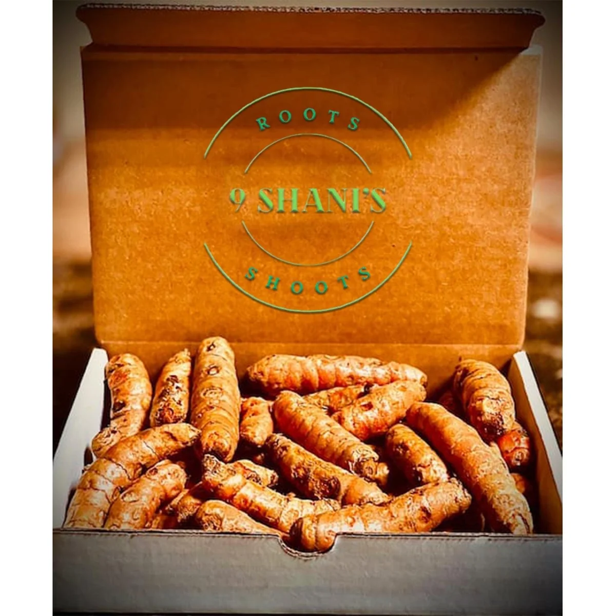 Fresh Wild Ginger & Turmeric Rhizomes - 20 LB Bulk Pack - Image 6