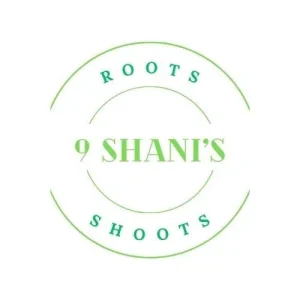 Fresh Wild Turmeric Root 1 lb - Non-GMO, Organic, High Curcumin - Image 4