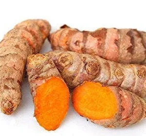 Fresh Wild Turmeric Root – 5 LB – Organic & Natural Culinary Spice - Image 2