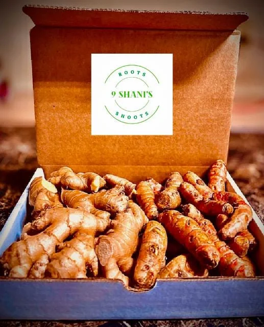 Fresh Wild Turmeric Root – 8 LB Each – Natural & Unprocessed – From Fiji - Image 3