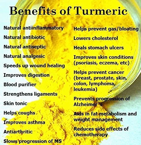 Fresh Wild Turmeric Root – 8 LB Each – Natural & Unprocessed – From Fiji - Image 5