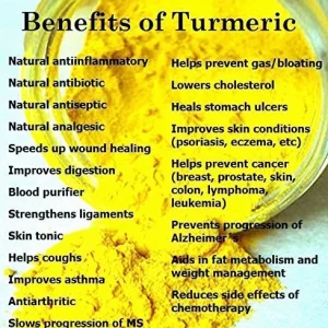 Fresh Wild Turmeric Root (8oz) - Organic Fijian Golden Spice - Image 3