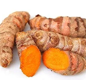 Fresh Wild Turmeric Root from Fiji - 1 LB - Unprocessed & Natural - Image 2