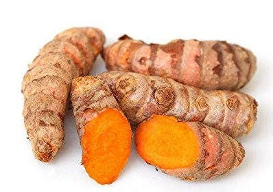 Fresh Wild Turmeric Root from Fiji - 50 LB Bulk - Non-GMO, Pesticide-Free - Image 2