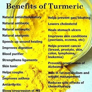 Fresh Wild Turmeric Root from Fiji - 50 LB Bulk - Non-GMO, Pesticide-Free - Image 3