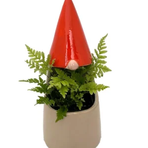 Funky Gnome Ceramic Planter with Live Trailing Houseplant - 9" x 3.5" - Image 3