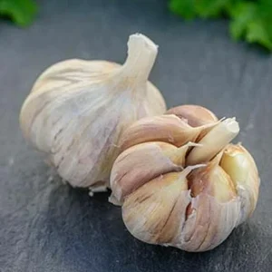 German Red Garlic Seeds - NON-GMO, Healthy, Fast Growing, Perennial, Indoor/Outdoor - Image 3