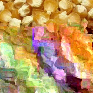 Golden Bantam Organic Sweet Corn Seeds - Heirloom, Non-GMO - 200 Seeds - Image 3