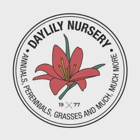 Golden Oxford Tulip Bulbs - Triumph Tulips - Approx. 450 Bulbs (40 lbs) - Image 5