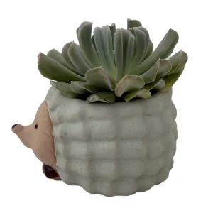 Hedgehog Ceramic Planter with Live Succulent Plant - 3 Inch Pot - Indoor Decor - Image 3