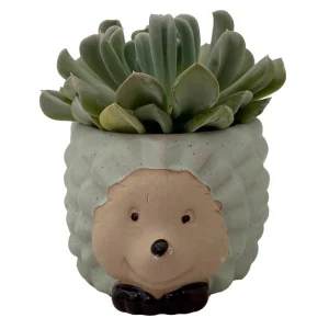 Hedgehog Ceramic Planter with Live Succulent Plant - 3 Inch Pot - Indoor Decor - Image 1