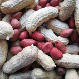 Heirloom Tennessee Red Valencia Peanut Seeds - 35g Goober Peas for Planting Outdoor - Image 1