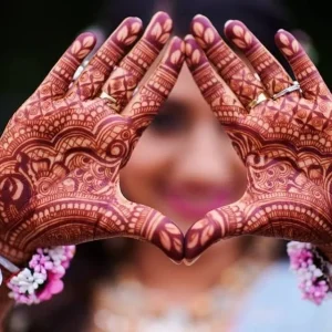 Henna Plant Live (Lawsonia Inermis) for Mehndi Dye & Ornament, 1 Gallon Pot - Image 3