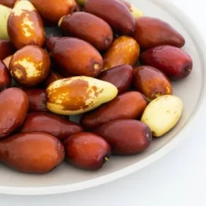 Jujube Tree Live Plant – Sweet Chinese Date Fruit – Drought Tolerant - Image 4