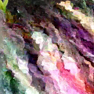 Kleim's Hardy Gardenia Live Plant - 6-10 Inches Tall, Fragrant Evergreen Shrub - Image 1