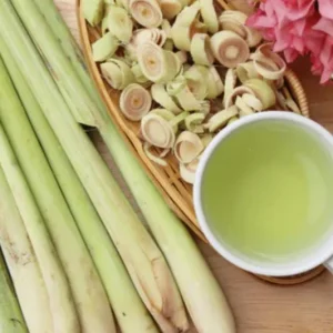 Lemongrass Live Plant Set - Cymbopogon citratus - 5 Starters, 4-8