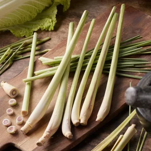 Lemongrass Live Plant Set - Cymbopogon citratus - 5 Starters, 4-8