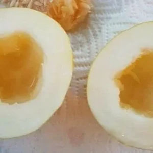 Mango Vine Peach Melon 25 Seeds Organic Melons Early Prolific Heirloom Garden - Image 6