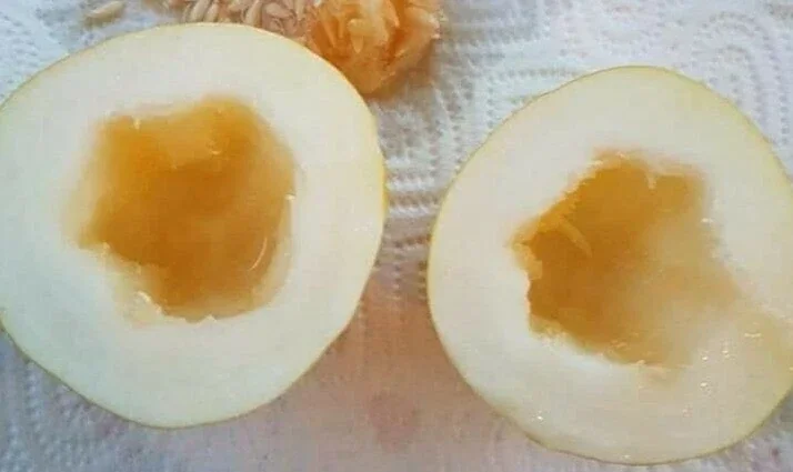 Mango Vine Peach Melon 25 Seeds Organic Melons Early Prolific Heirloom Garden - Image 6