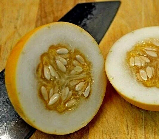 Mango Vine Peach Melon 25 Seeds Organic Melons Early Prolific Heirloom Garden - Image 7