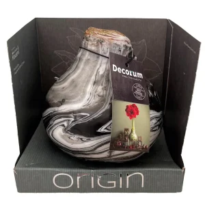 Marble Waxed Amaryllis Bulb - Jumbo Holiday Blooms in Gift Box, No Watering - Image 2