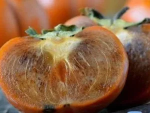 Maru Persimmon Tree - 3-4 ft Tall Live Plant - Sweet Fruit - 3 Gal Pot - Image 1