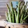 Millennium Asparagus Crowns – 10 Bare Root Plants – 2 Year Olds – Hardy Garden Vegetable - Image 1