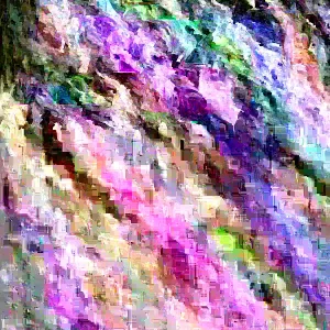 Mimosa Tree Seeds - 50 Count Pack - Outdoor Flowering Albizia julibrissin - Image 2