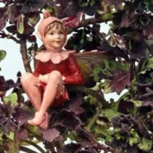 Mini Red Leaf Coleus Live Plant – Potted Houseplant – 2.5" Pot – Indoor - Image 2