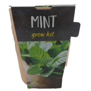 Mint Grow Kit - Spearmint Seeds with Ceramic Planter & Growing Medium - Image 1