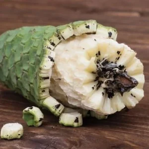 Monstera Deliciosa Live Plant – Edible Fruit – 4 inch Nursery Pot Starter - Image 3