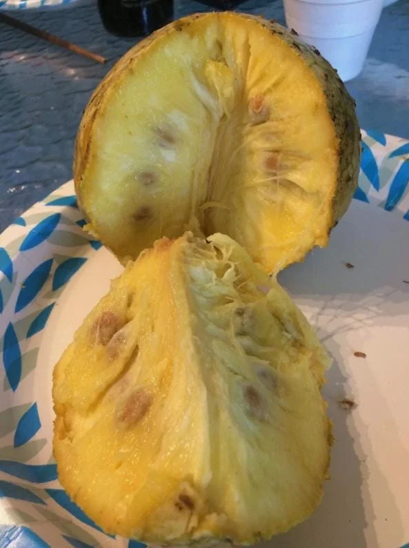 Mountain Soursop Live Plant - Annona muricata Tropical Fruit Tree - 6-10" Tall Starter - Image 6