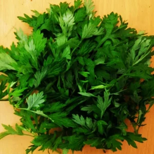 Mugwort Live Plant - Artemisia Ngai Cuu Yomogi Argyi - Silvery Wormwood - Indoor/Outdoor - 1ft Tall - Image 11