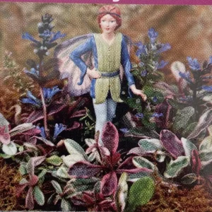 Multicolor Ajuga reptans Live Plant – Carpet Bugle in 2.5