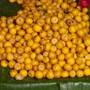 Nance Live Plant - Byrsonima Crassifolia - 2-3 Feet Tall Fruiting Tree in 3 Gal Pot - Image 3