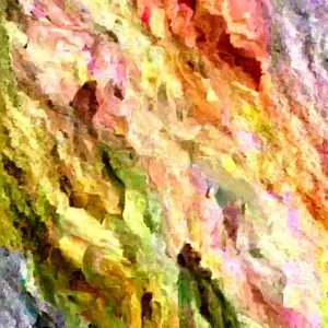 Orange Accordion Tomato Seeds - 25 Heirloom Organic Italian Stuffer Vegetable Seeds - Image 3