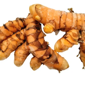 Orange Turmeric Rhizomes - 1-50 lbs Curcuma longa Roots for Growing - Image 1