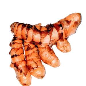 Orange Turmeric Rhizomes - 1-50 lbs Curcuma longa Roots for Growing - Image 5