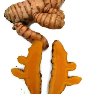 Orange Turmeric Rhizomes - Fresh Organic Curcuma longa Root for Planting & Culinary Use - Image 4