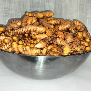 Organic Turmeric Rhizomes - Curcuma longa Roots for Planting & Culinary Use, 1-50 lbs - Image 2